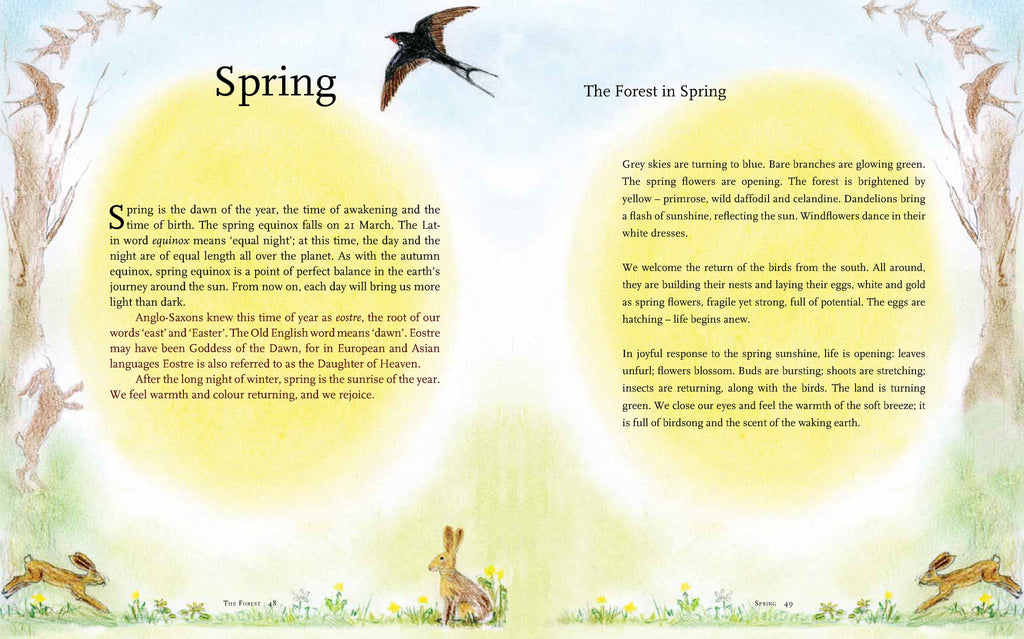 <i>The Children's Forest</i> by Dawn Casey, Anna Richardson, and Helen d'Ascoli